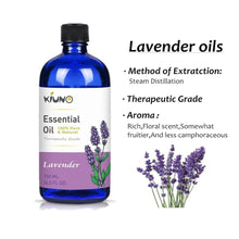 Load image into Gallery viewer, KIUNO 150ML Lavender Essential Oil Aromatherapy 100% Pure Basic Essential Oil for Relieve Stress Organic Body Massage Relax